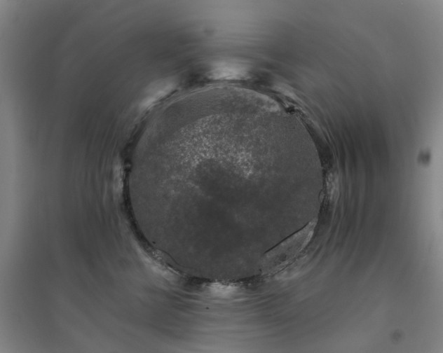 X0000094440570200711151407