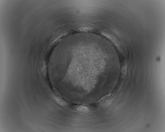 X0000094440572200711151407