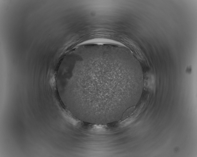 X0000094440573200711151407
