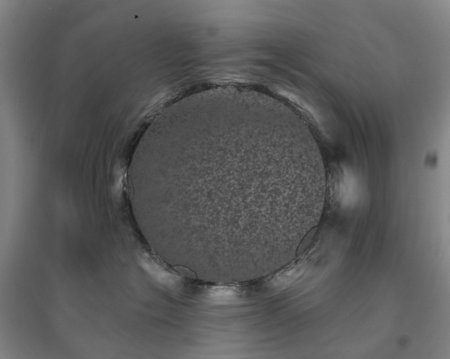 X0000094440574200711151407