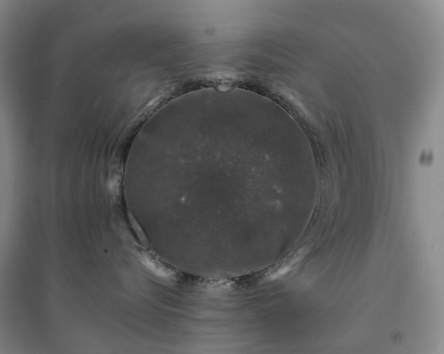 X0000094440576200711151407
