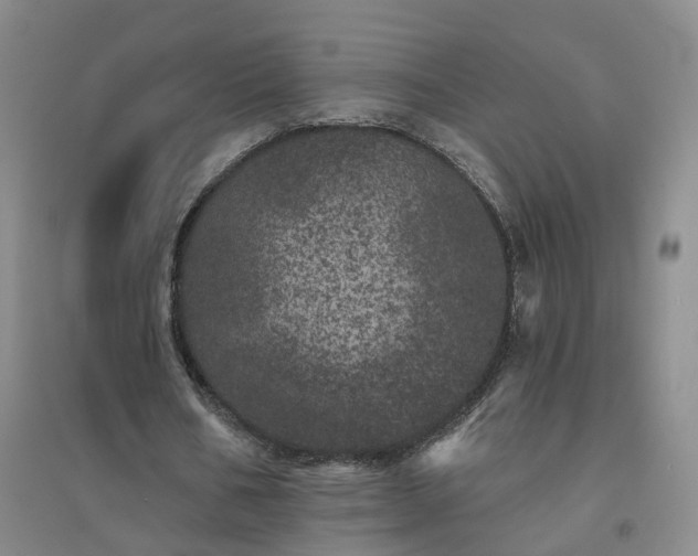X0000094440578200711151407