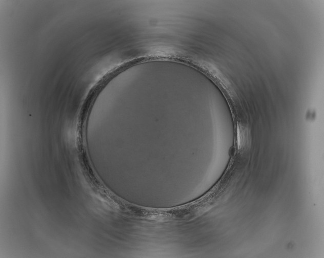 X0000094440579200711151407