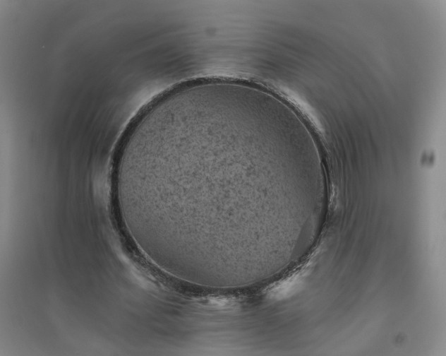 X0000094440580200711151407