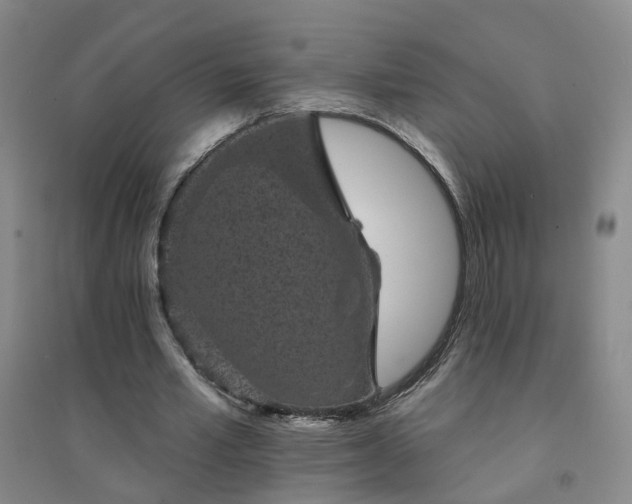 X0000094440581200711151407