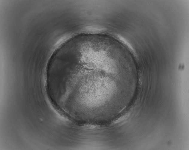 X0000094440582200711151407
