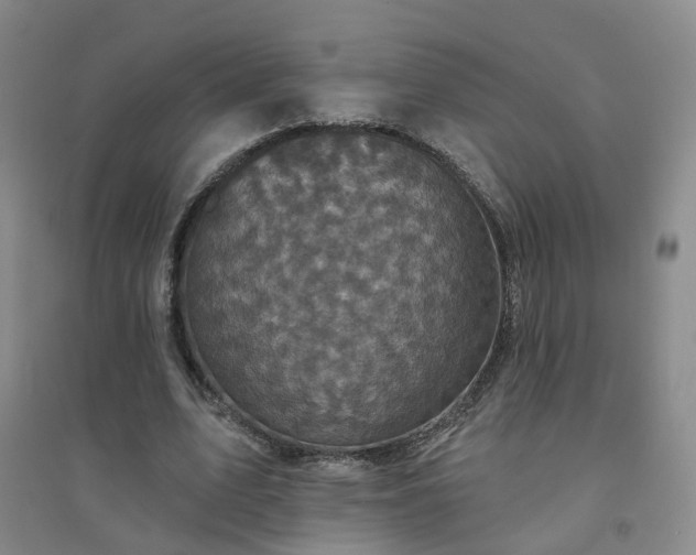 X0000094440583200711151407