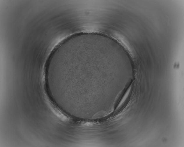 X0000094440584200711151407