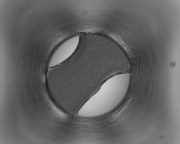 X0000094440585200711151407