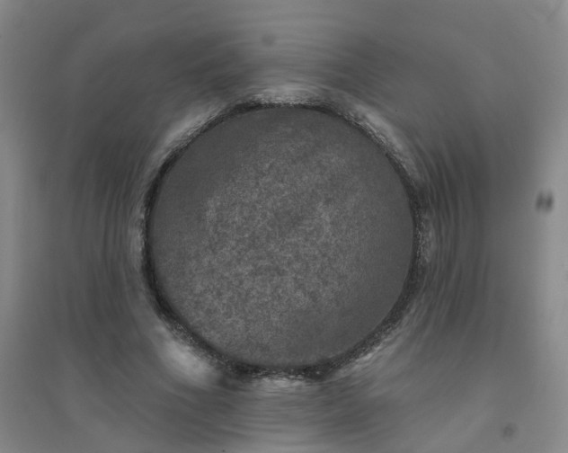 X0000094440586200711151407