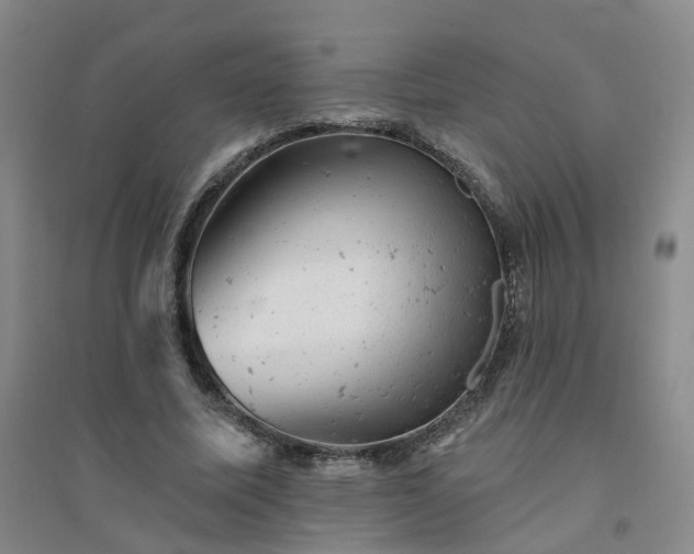 X0000094440587200711151407