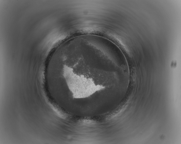 X0000094440590200711151407