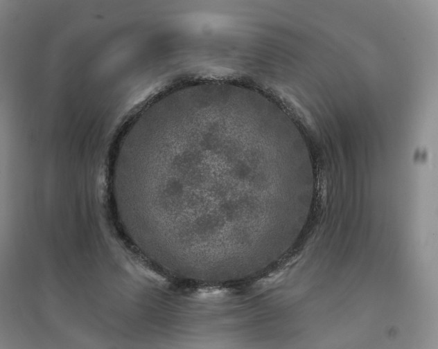 X0000094440591200711151407