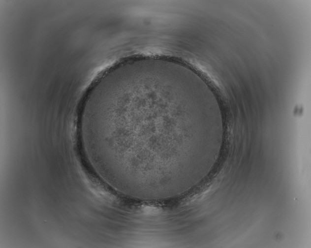 X0000094440592200711151407