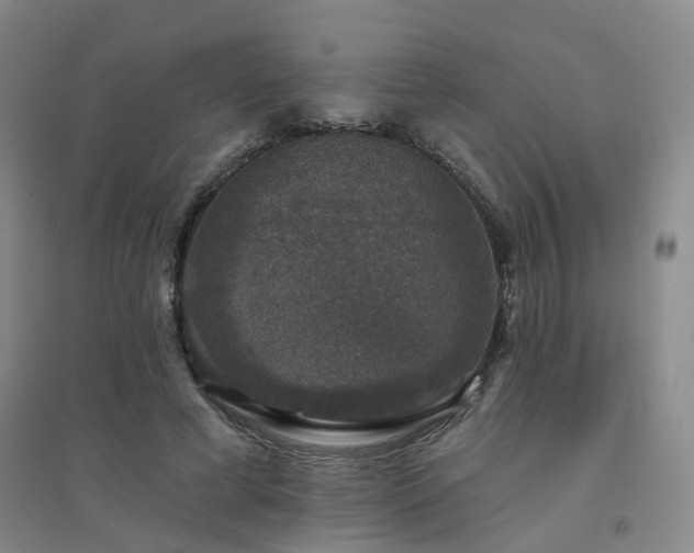 X0000094440593200711151407