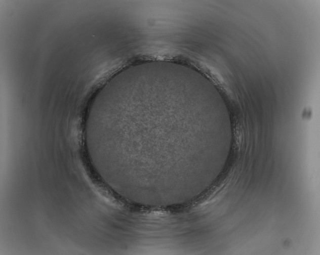 X0000094440594200711151407