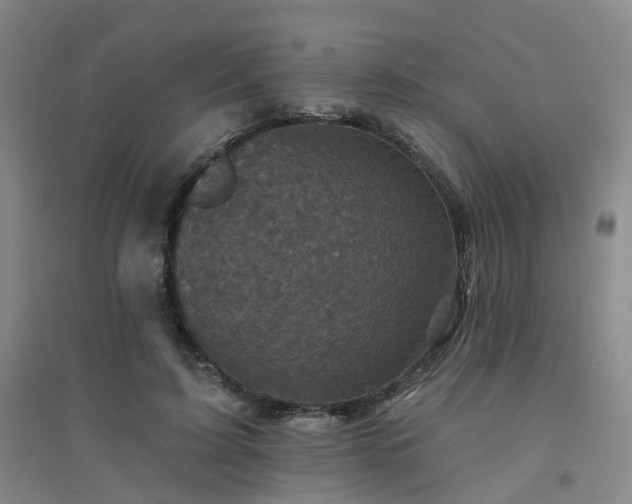 X0000094440595200711151407