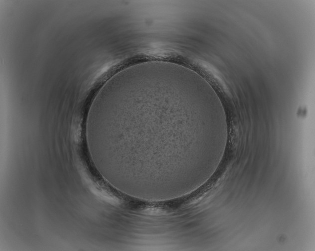 X0000094440596200711151407