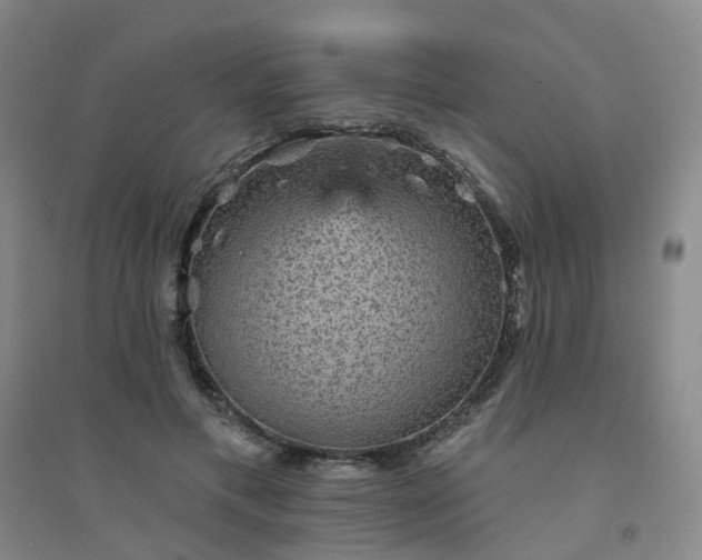 X0000094440597200711151407
