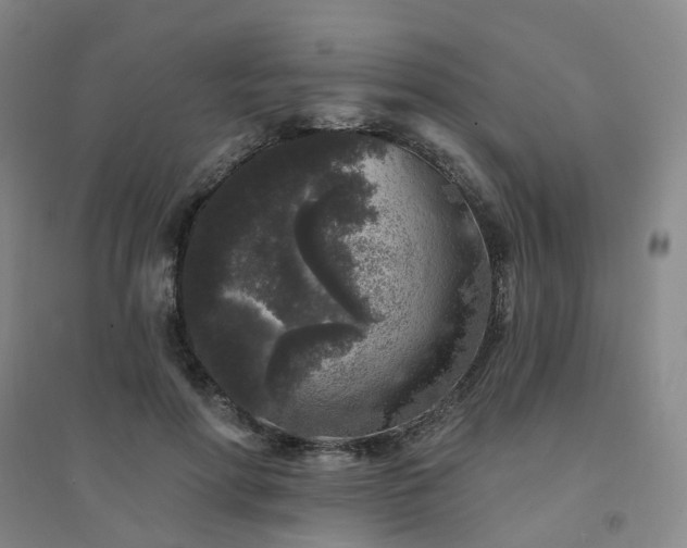 X0000094440598200711151407