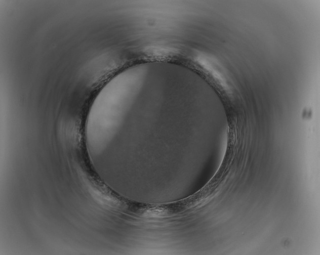 X0000094440599200711151406