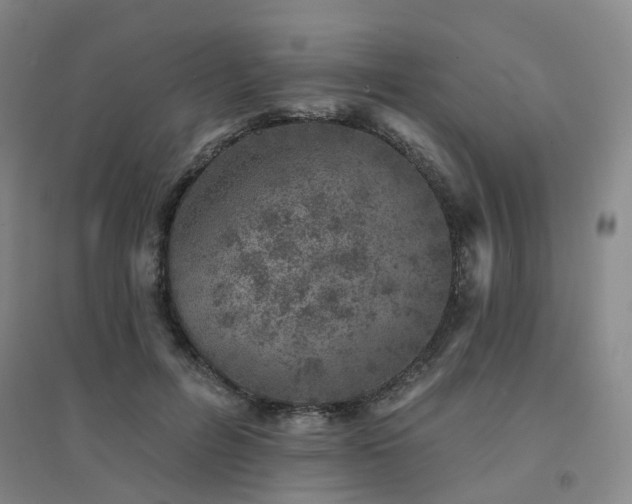 X0000094440600200711151406