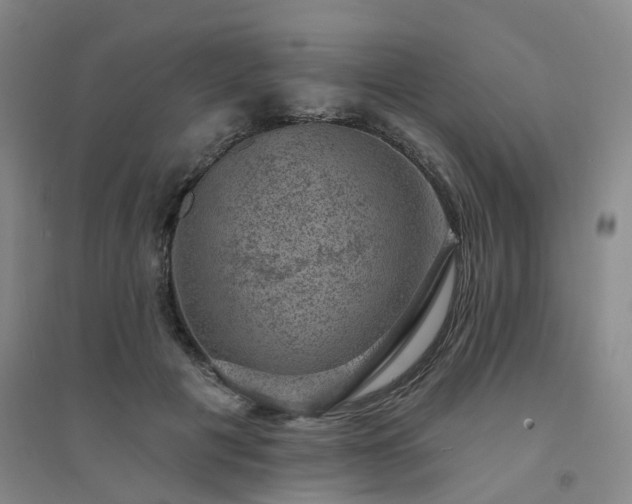 X0000094440601200711151406