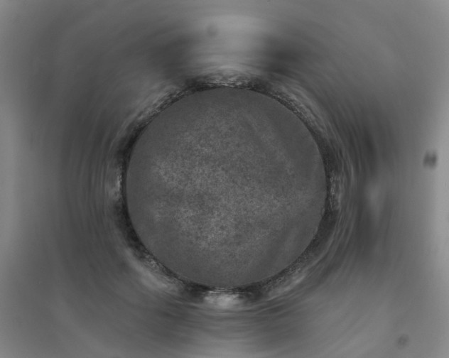 X0000094440602200711151406