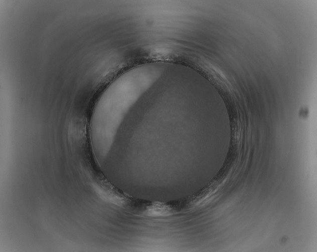 X0000094440603200711151406