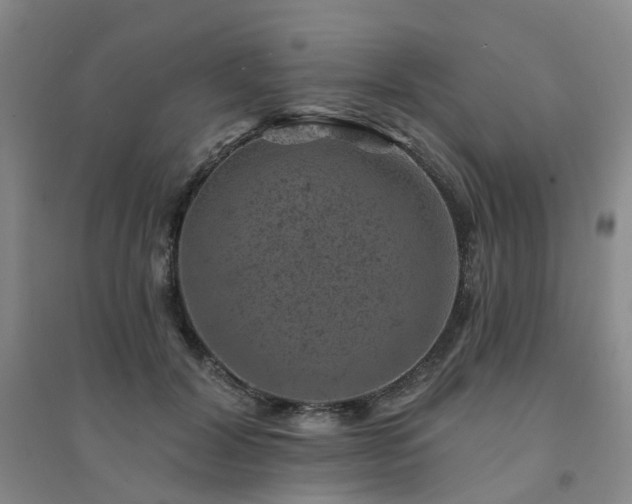 X0000094440604200711151406