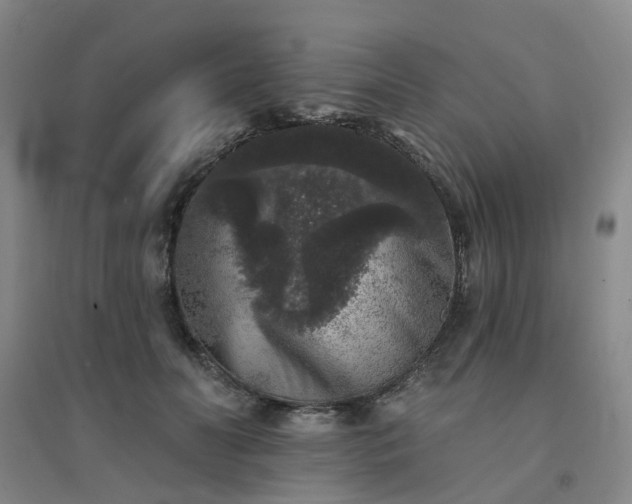 X0000094440606200711151406