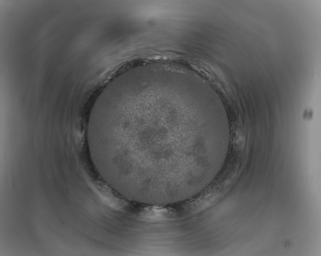 X0000094440607200711151406