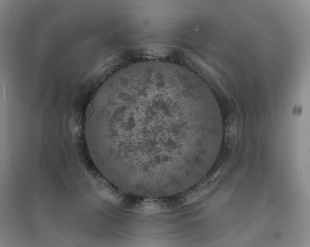 X0000094440608200711151406