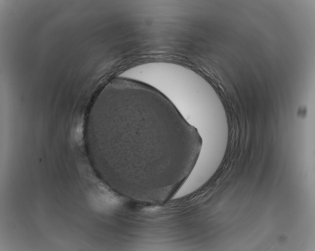 X0000094440609200711151406
