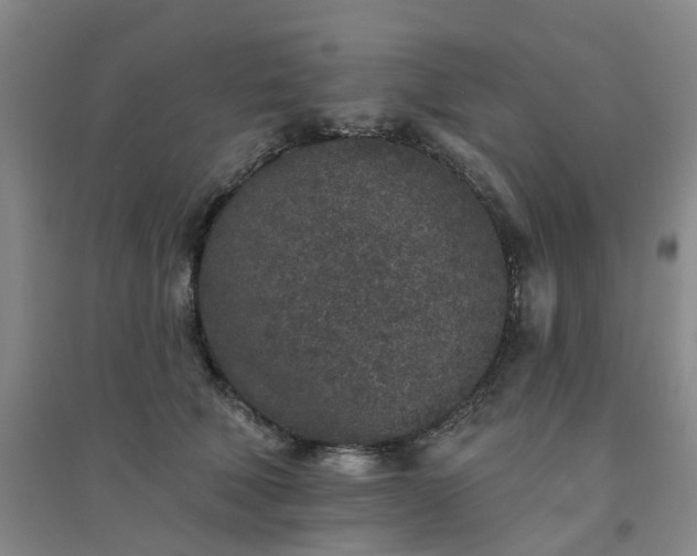 X0000094440610200711151406