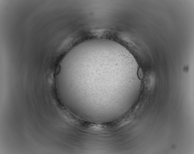X0000094440611200711151406
