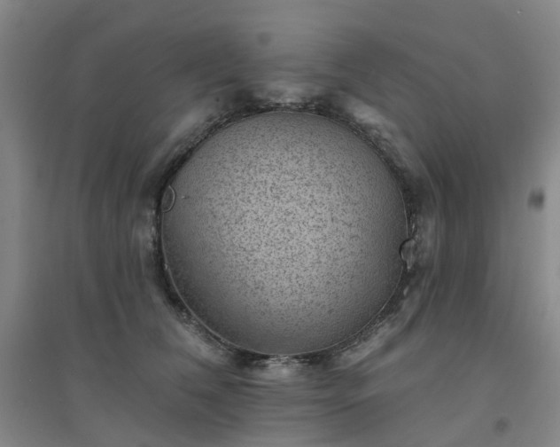 X0000094440612200711151406