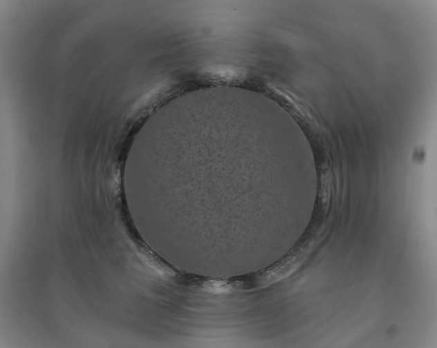 X0000094440613200711151406