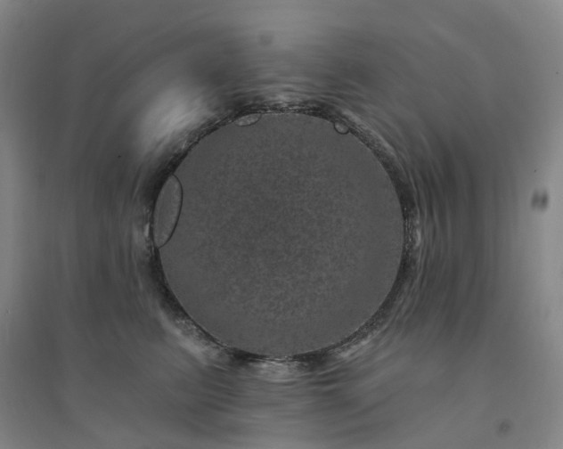 X0000094440615200711151406