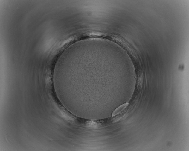 X0000094440616200711151406