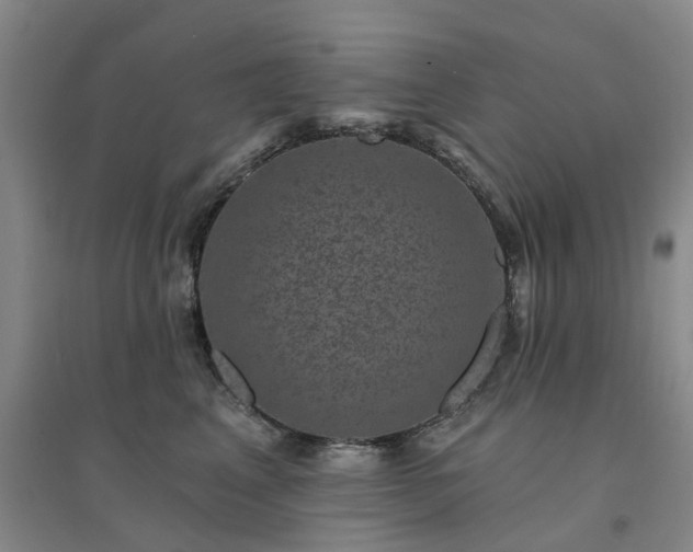 X0000094440617200711151406