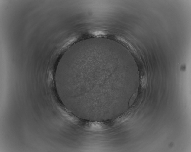 X0000094440618200711151406