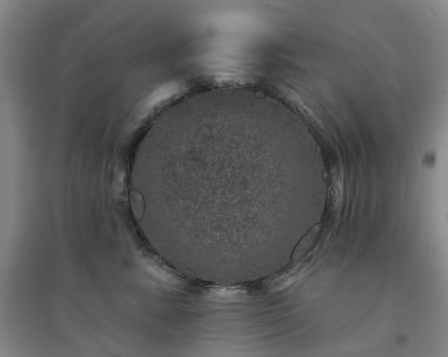 X0000094440619200711151406