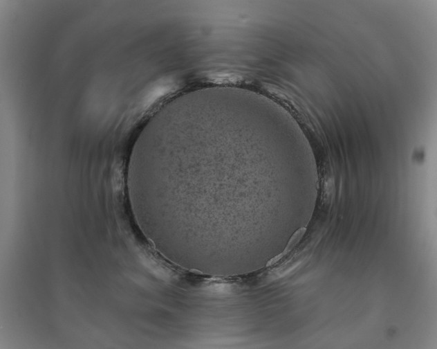 X0000094440620200711151406