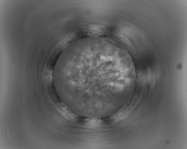 X0000094440621200711151406