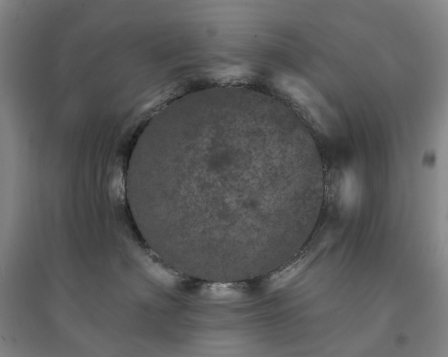 X0000094440622200711151406