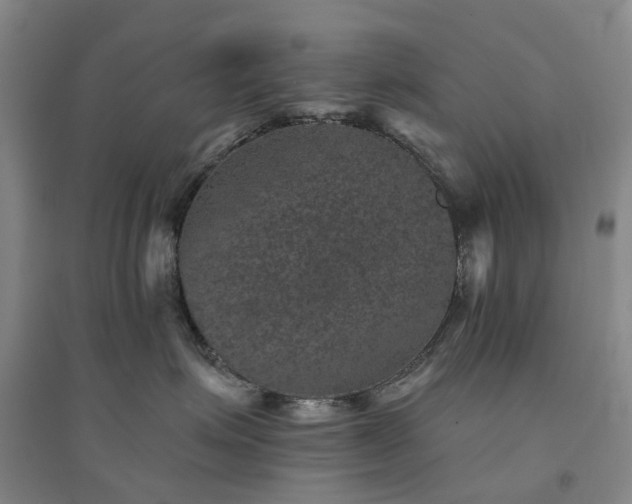 X0000094440623200711151406