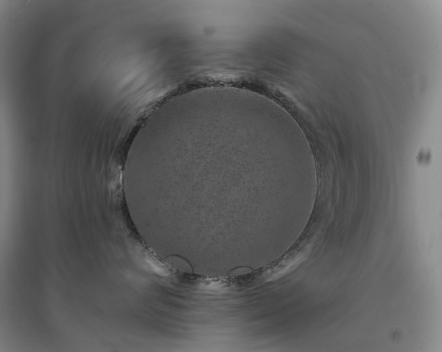 X0000094440624200711151406
