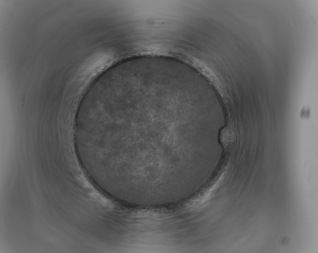 X0000094440625200711151405