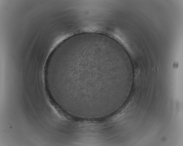 X0000094440626200711151405